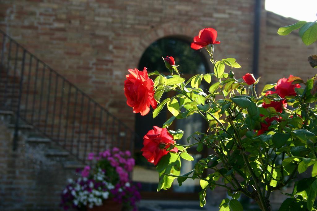 Fattoria Armena Villa Buonconvento Kültér fotó