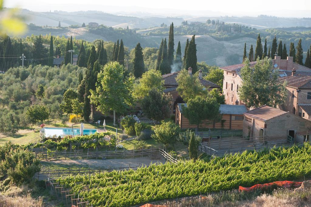 Fattoria Armena Villa Buonconvento Kültér fotó